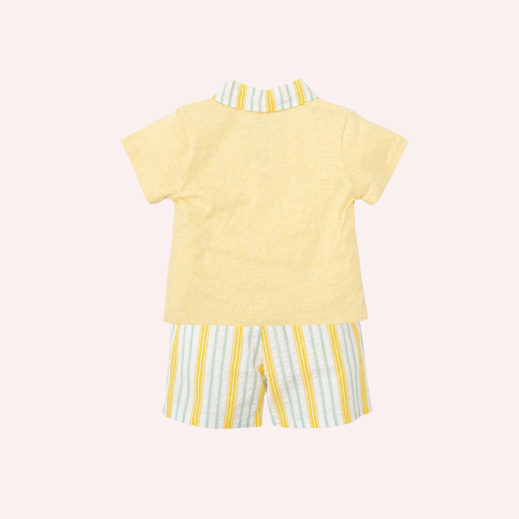Tutto Piccolo Yellow Short Sleeves 2 Piece Set