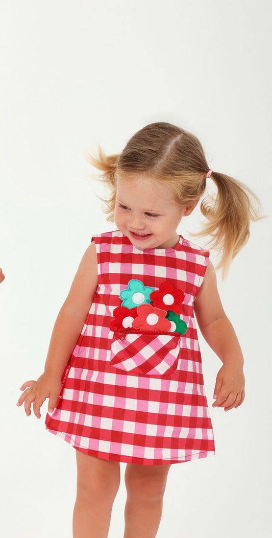 Agatha Ruiz De La Prada Vestido Picnic