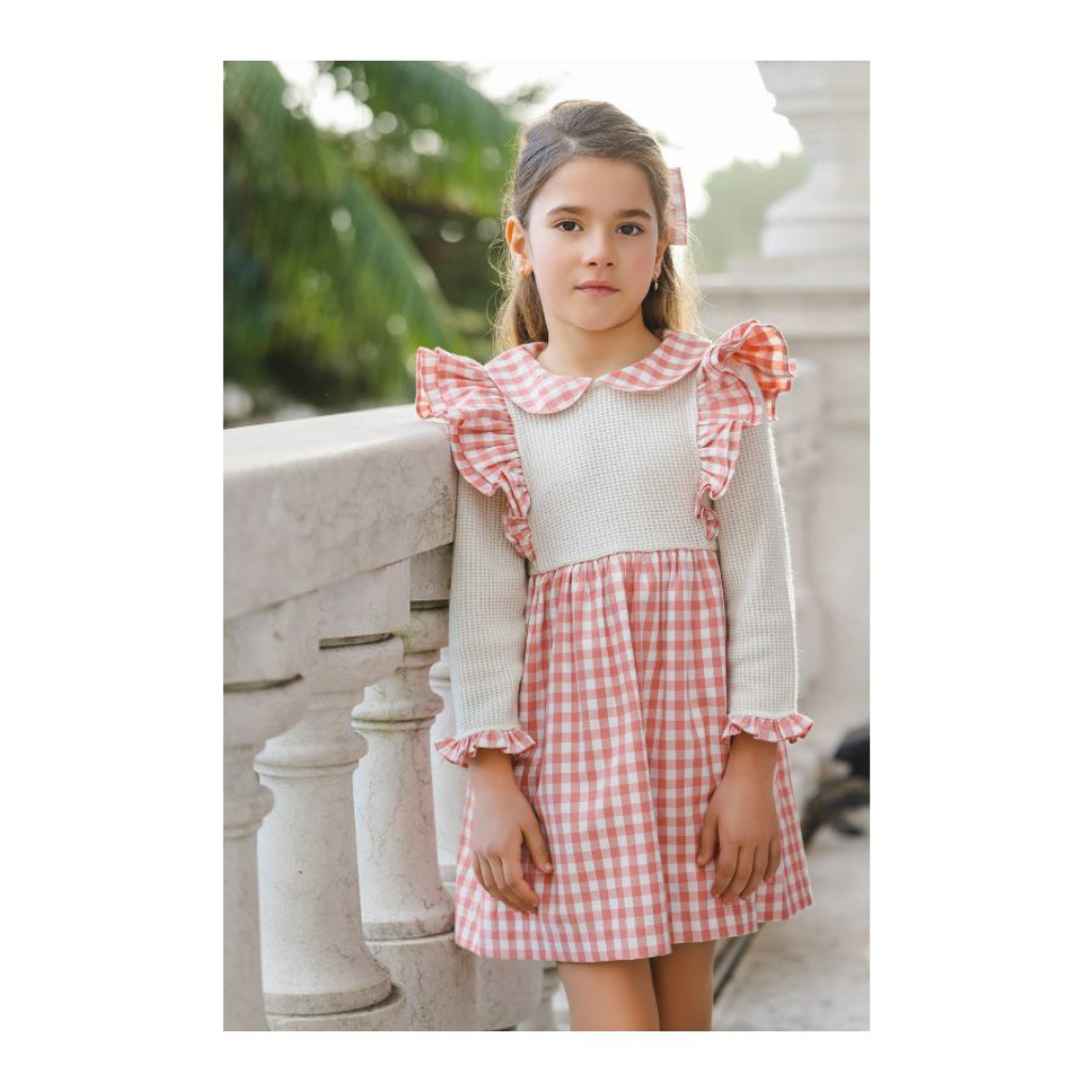 Sal & Pimenta Rosy Gingham Dress