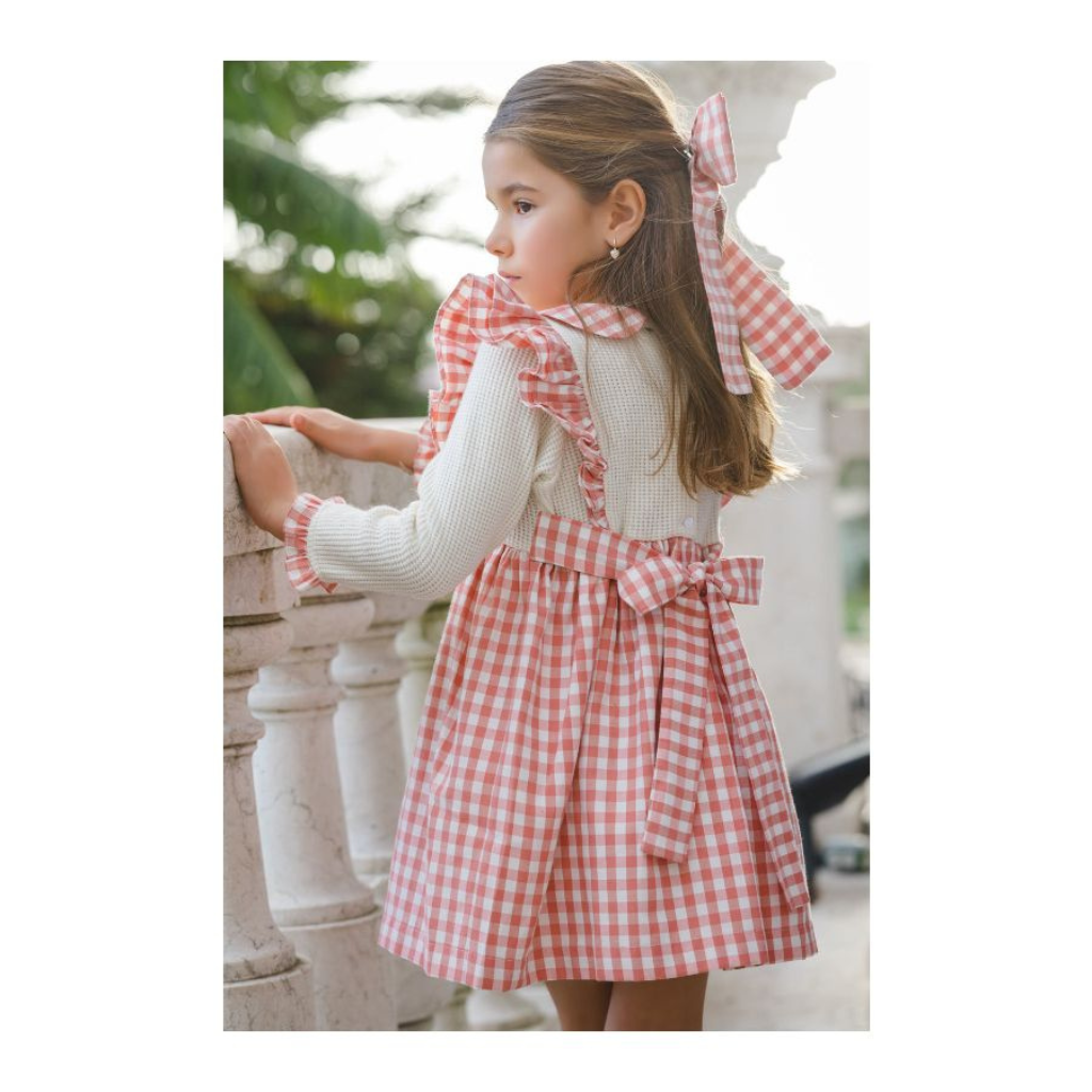 Sal & Pimenta Rosy Gingham Dress