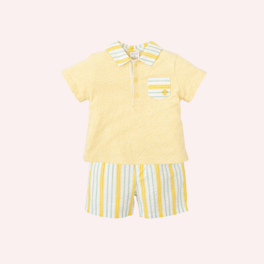 Tutto Piccolo Yellow Short Sleeves 2 Piece Set